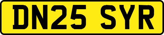 DN25SYR