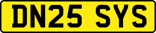 DN25SYS