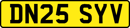 DN25SYV