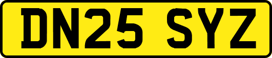 DN25SYZ