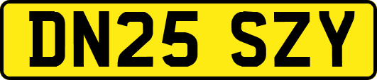 DN25SZY