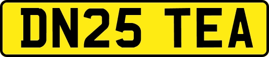 DN25TEA