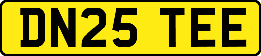 DN25TEE