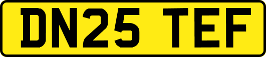 DN25TEF