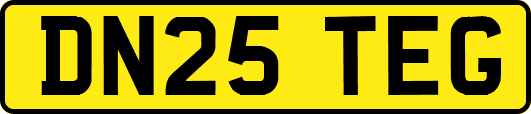 DN25TEG