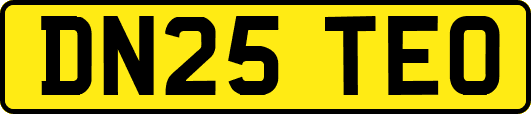 DN25TEO