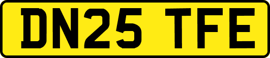 DN25TFE
