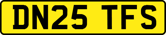 DN25TFS