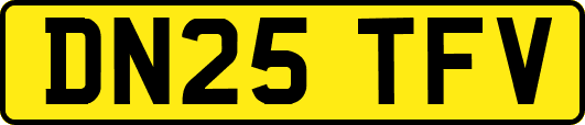 DN25TFV