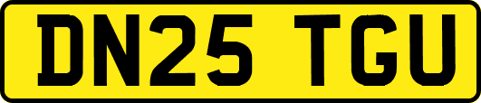 DN25TGU