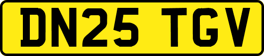 DN25TGV
