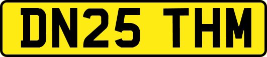 DN25THM