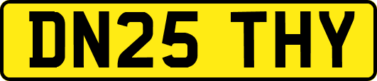 DN25THY