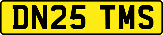 DN25TMS