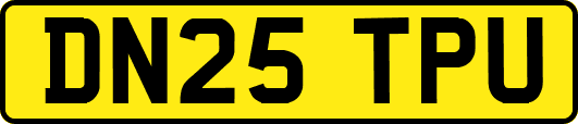 DN25TPU
