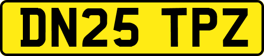 DN25TPZ