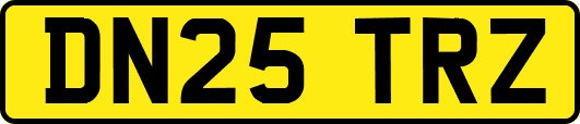 DN25TRZ