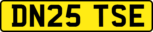 DN25TSE