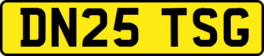 DN25TSG