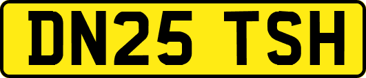 DN25TSH