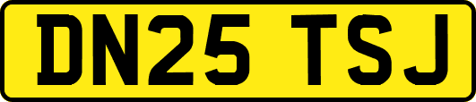 DN25TSJ