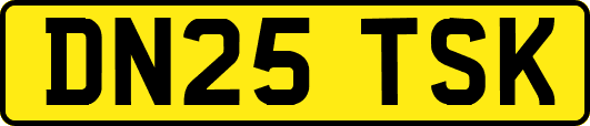 DN25TSK