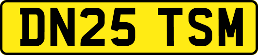 DN25TSM