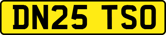 DN25TSO