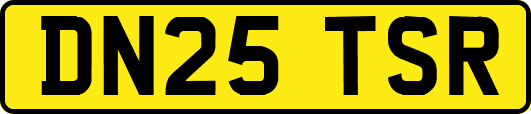 DN25TSR