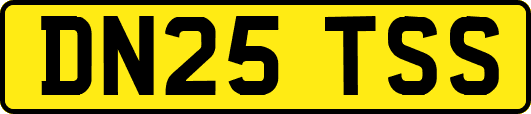 DN25TSS