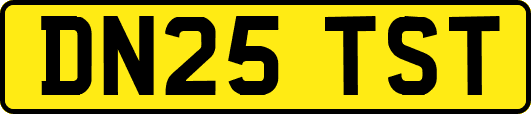 DN25TST