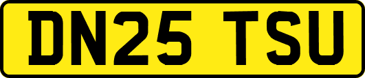 DN25TSU
