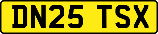 DN25TSX