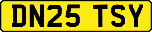 DN25TSY