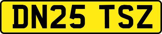 DN25TSZ