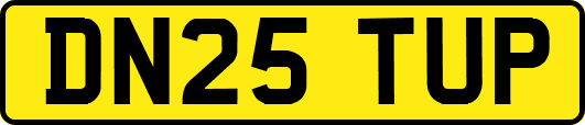 DN25TUP