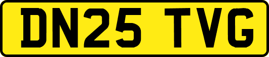 DN25TVG