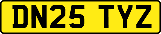 DN25TYZ