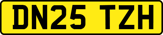 DN25TZH