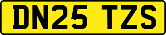 DN25TZS
