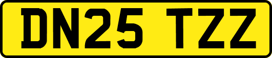 DN25TZZ