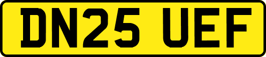 DN25UEF