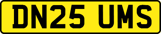 DN25UMS