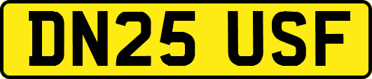 DN25USF