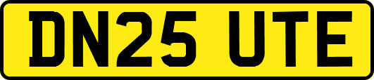 DN25UTE