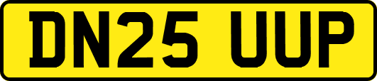 DN25UUP