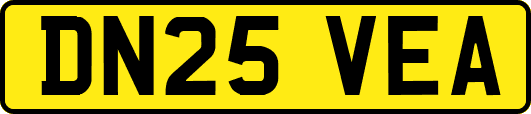 DN25VEA