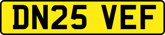 DN25VEF