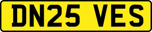 DN25VES
