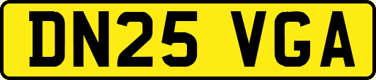 DN25VGA